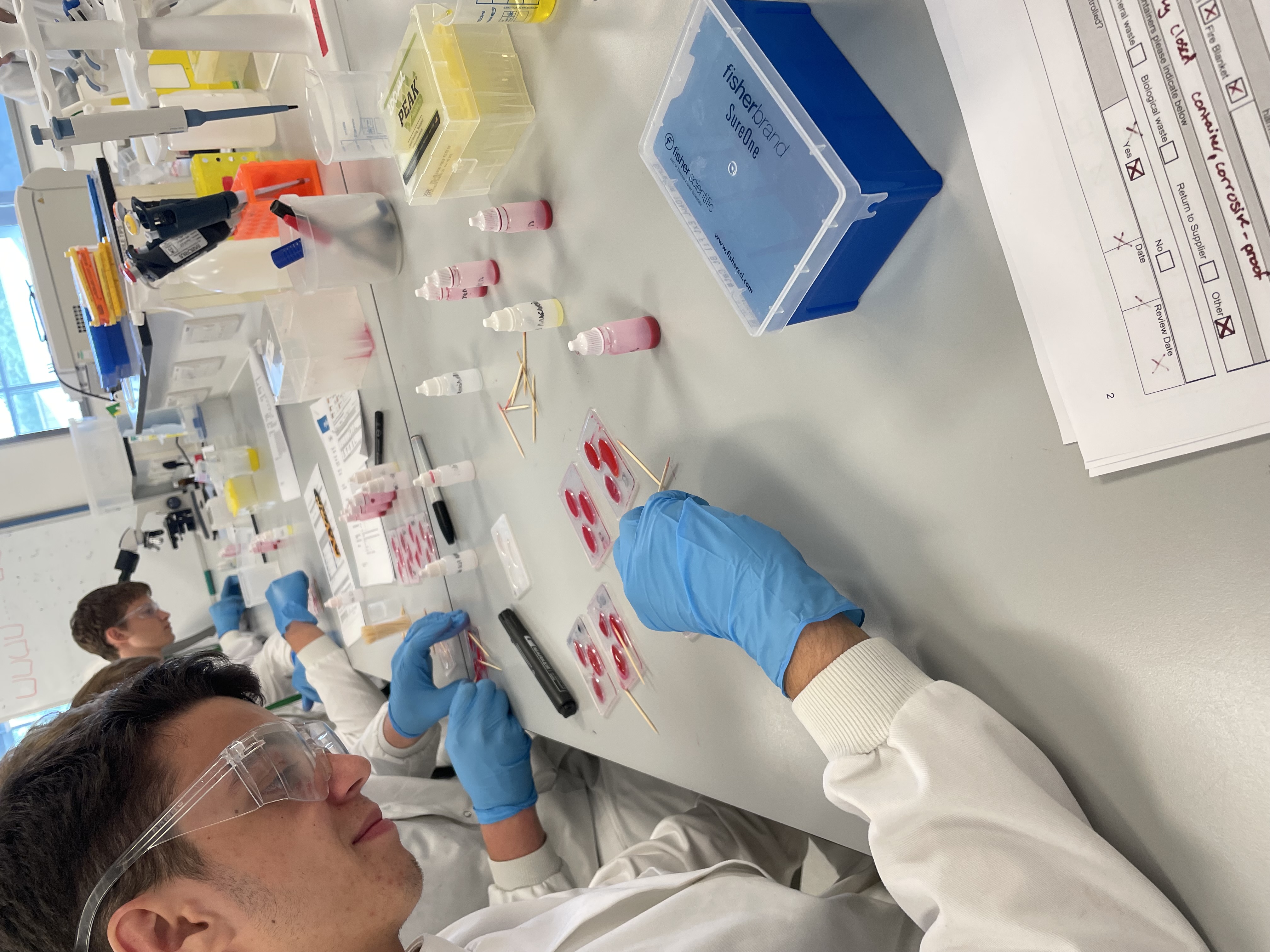 Saleh Faiz working in a laboratory